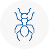 Ant Removals In Cardiff