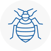 Bed Bug Extermination In Cardiff
