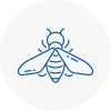 Bee Nest Removal Cardiff