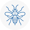 Cardiff Hornet Nest Removals
