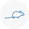 Mice Exterminators In Cardiff