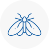 Moth Control Specialists In Cardiff