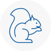 Cardiff Rodent Removals