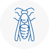 Cardiff Wasp Nest Removal